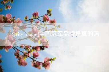 武义县中国冠军品牌是真的吗