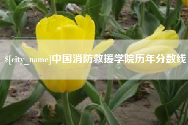 武义县中国消防救援学院历年分数线
