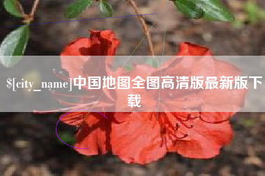 武义县中国地图全图高清版最新版下载
