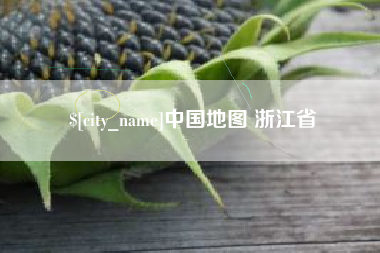 武义县中国地图 浙江省