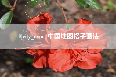 武义县中国地图格子画法