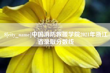 武义县中国消防救援学院2021年浙江省录取分数线