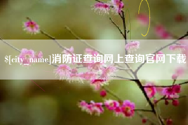 武义县消防证查询网上查询官网下载