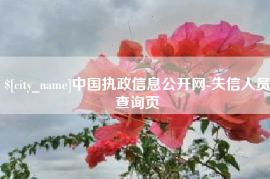 武义县中国执政信息公开网-失信人员查询页