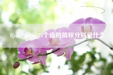 武义县34个省的简称分别是什么