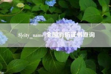 武义县全国消防证书查询