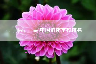 武义县中国消防学校排名
