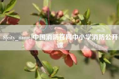武义县中国消防官网中小学消防公开课