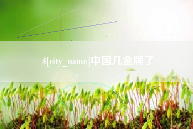 武义县中国几金牌了
