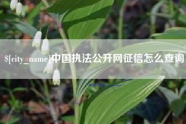 武义县中国执法公开网征信怎么查询