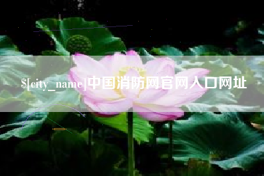 武义县中国消防网官网入口网址