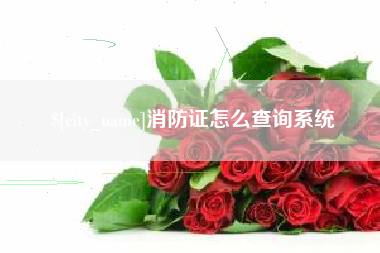 武义县消防证怎么查询系统