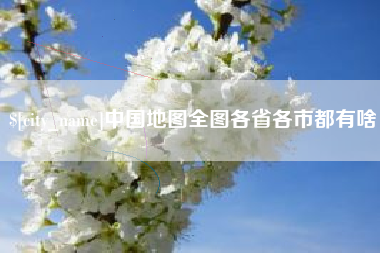 武义县中国地图全图各省各市都有啥
