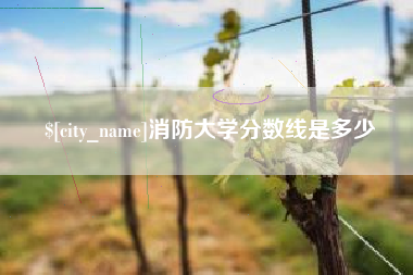 武义县消防大学分数线是多少