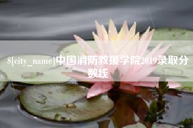 武义县中国消防救援学院2019录取分数线