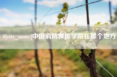 武义县中国消防救援学院在那个地方