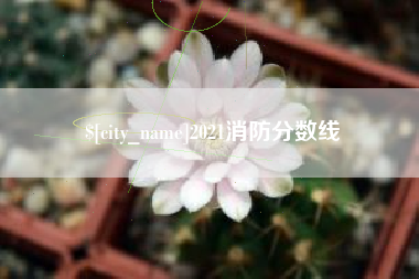武义县2021消防分数线