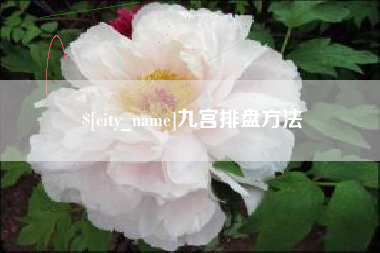 武义县九宫排盘方法