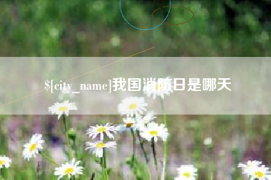 武义县我国消防日是哪天