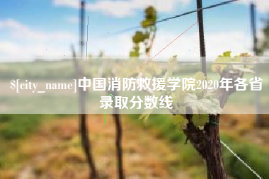 武义县中国消防救援学院2020年各省录取分数线