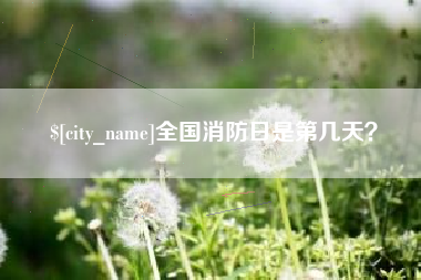 武义县全国消防日是第几天？