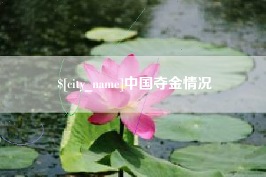 武义县中国夺金情况