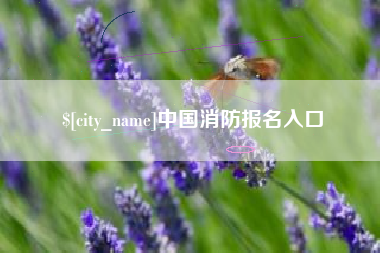 武义县中国消防报名入口