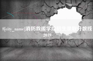 武义县消防救援学院招生录取分数线2019