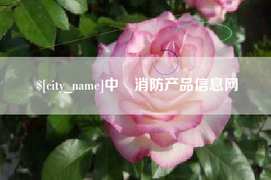 武义县中囯消防产品信息网