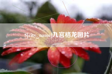 武义县九宫格龙图片