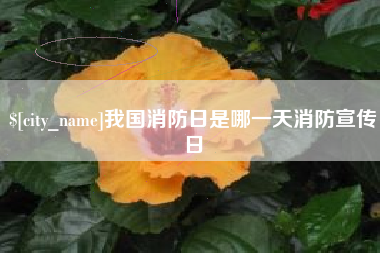 武义县我国消防日是哪一天消防宣传日