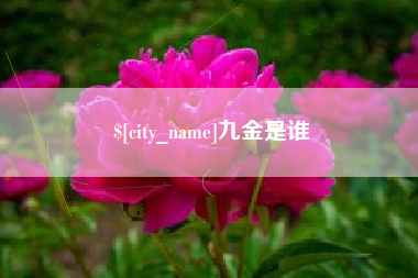 武义县九金是谁