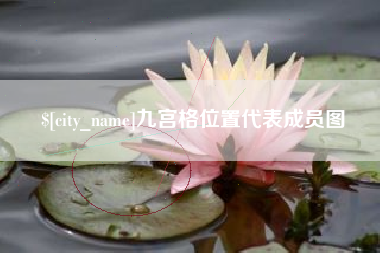 武义县九宫格位置代表成员图