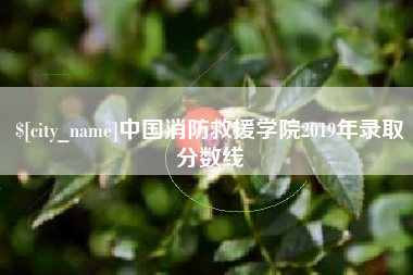 武义县中国消防救援学院2019年录取分数线