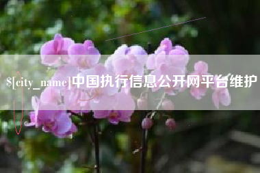 武义县中国执行信息公开网平台维护