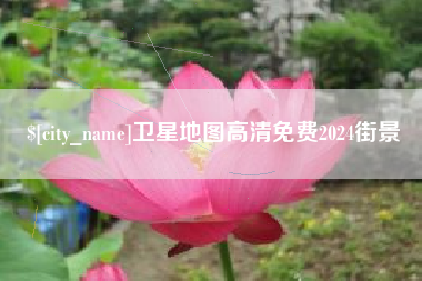 武义县卫星地图高清免费2024街景