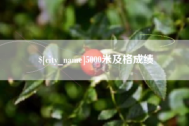 武义县5000米及格成绩