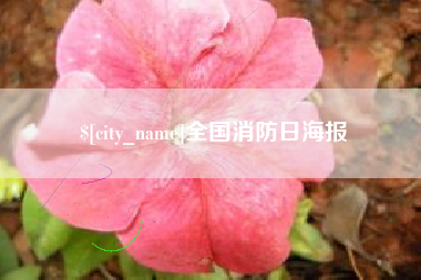 武义县全国消防日海报