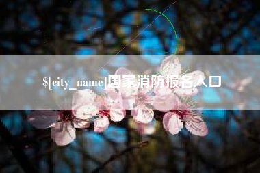 武义县国家消防报名入口