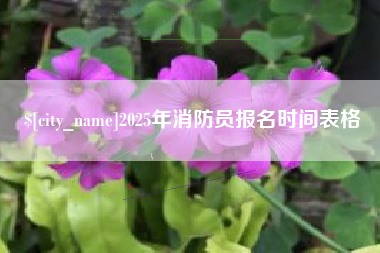武义县2025年消防员报名时间表格