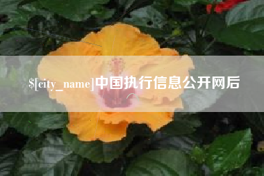 武义县中国执行信息公开网后