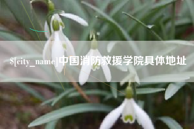 武义县中国消防救援学院具体地址