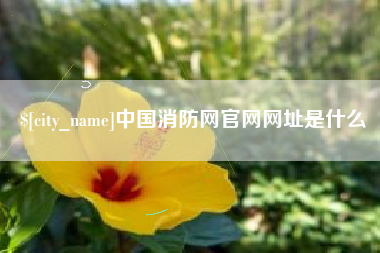 武义县中国消防网官网网址是什么
