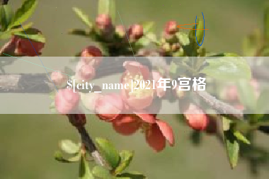 武义县2021年9宫格