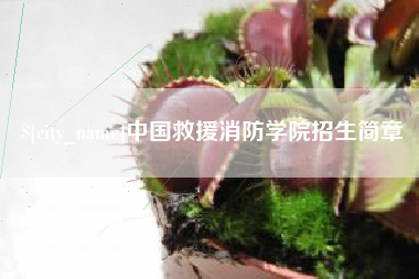 武义县中国救援消防学院招生简章