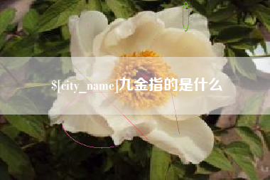 武义县九金指的是什么