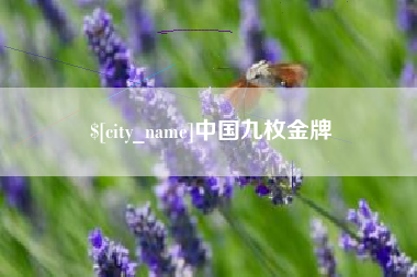 武义县中国九枚金牌