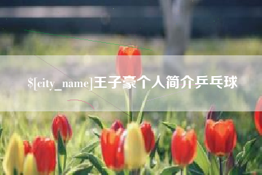 武义县王子豪个人简介乒乓球