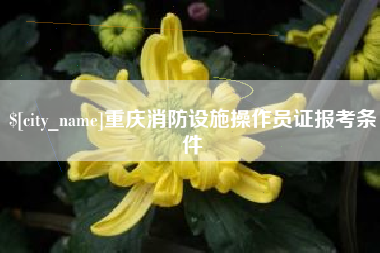 武义县重庆消防设施操作员证报考条件