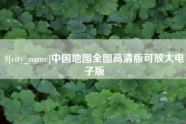 武义县中国地图全图高清版可放大电子版